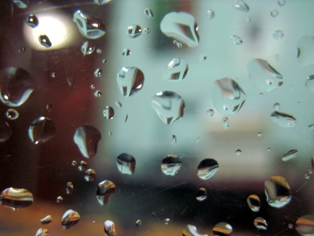 Rain Drops by Sudipto Sarkar on Visioplanet Photography tips and photoblog