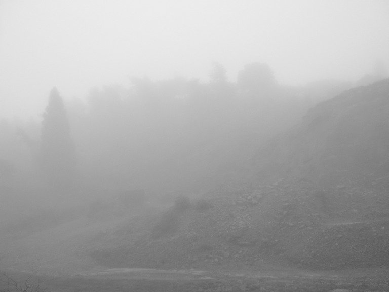 Fog and Mist by Sudipto Sarkar on Visioplanet