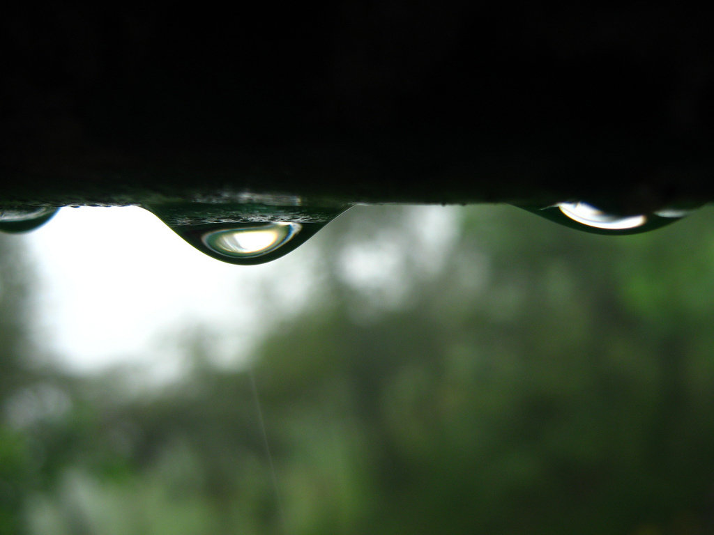 Rain in Cherrapunji by Sudipto Sarkar on Visioplanet Photography