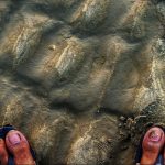 Sand and Slippers by Sudipto Sarkar on Visioplanet Photography