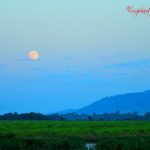 Forest Moonrise by Sudipto Sarkar on Visioplanet Photography